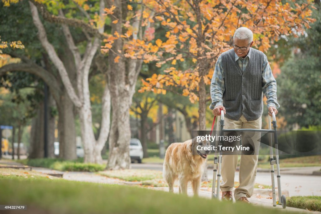 African American man using walker with dog