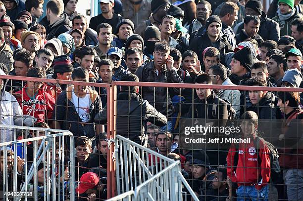 Migrants are held at a holding camp in the village of Dobova before boarding a train heading towards Austria on October 26, 2015 in Dobava, Slovenia....