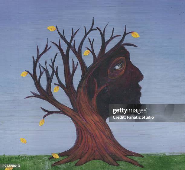 conceptual image of deciduous tree depicting alzheimer's disease - menopause stock illustrations