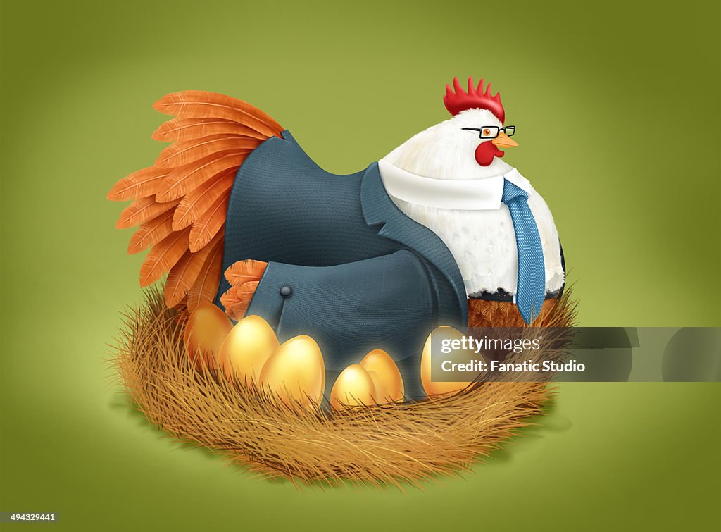 Illustrative image of hen wearing business suit sitting in bird's nest