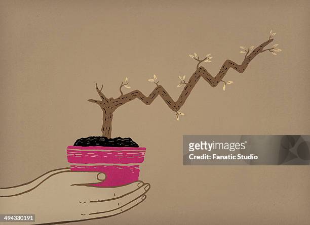 illustrative image of human hands holding potted plant with stem grows like a stock chart representing business growth - chart branch stock illustrations