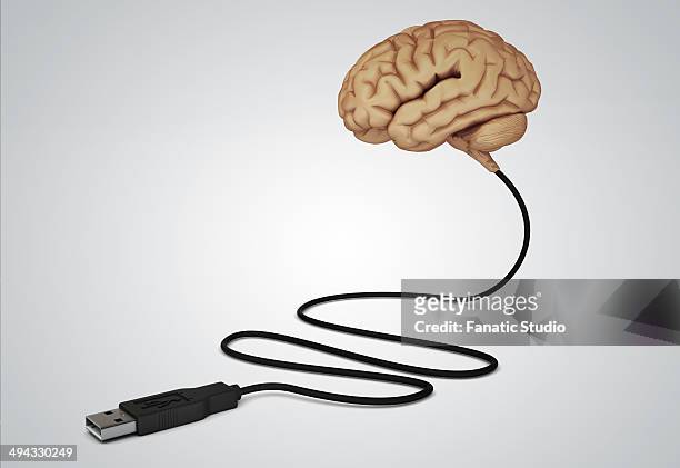 ilustrações, clipart, desenhos animados e ícones de illustration of human brain connected with usb cable over gray background - usb cable