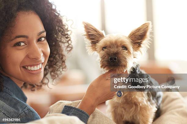 paws down, he's the cutest - dog looking down at camera stock pictures, royalty-free photos & images