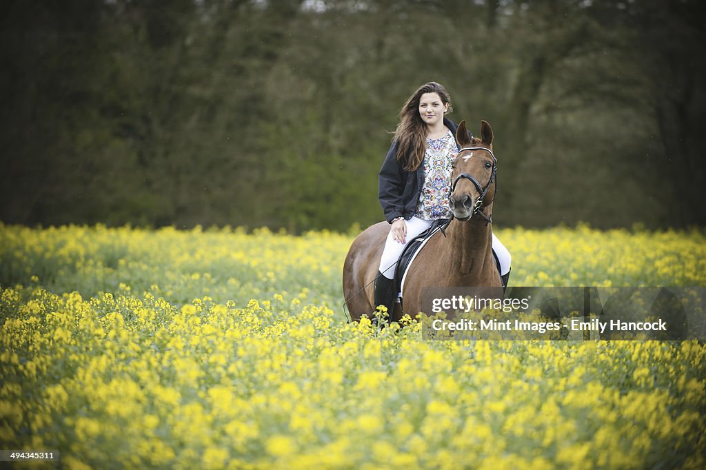 A young woman riding on a brown horse through a flowering yellow mustard crop in a field.