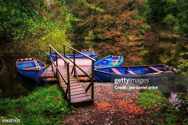 boats at lake vyrnwy, - lake vyrnwy 個照片及圖片檔