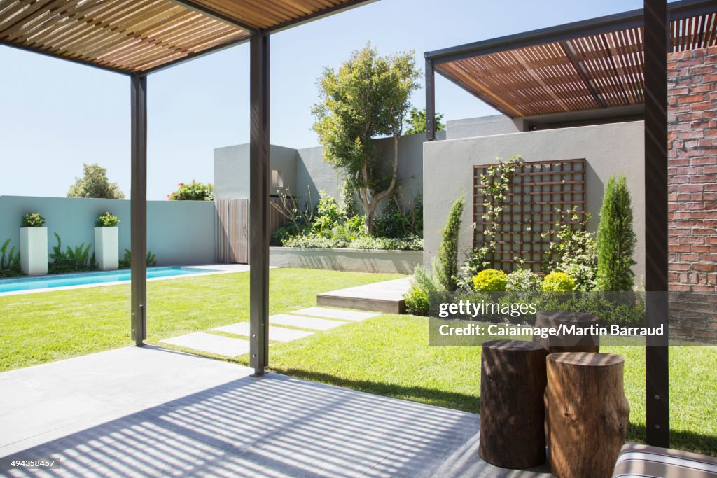 Sunny modern backyard