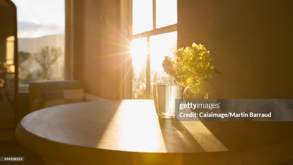 Sol brilhando na janela atrás de flor em vidro