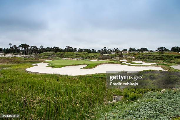 golf at pebble beach - pebble beach california stockfoto's en -beelden