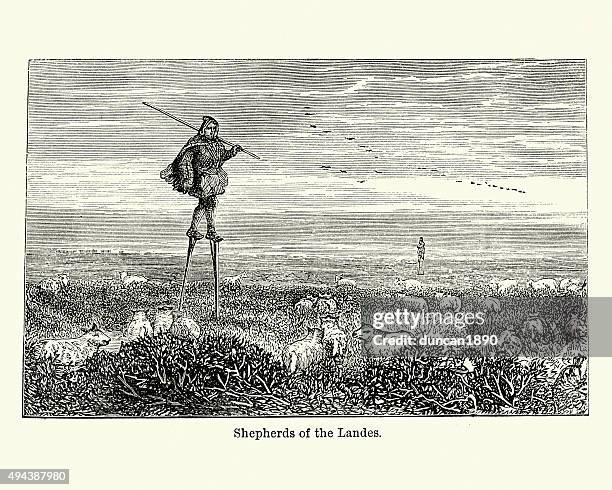 shepherds of the landes, france - les landes stock illustrations