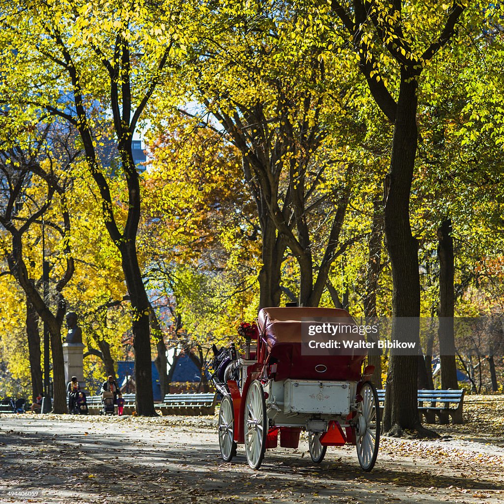 Central Park