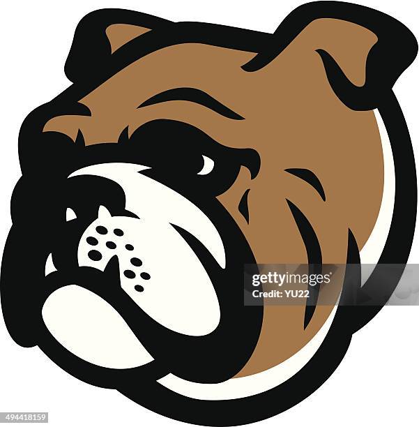 bulldog head - bulldog stock illustrations