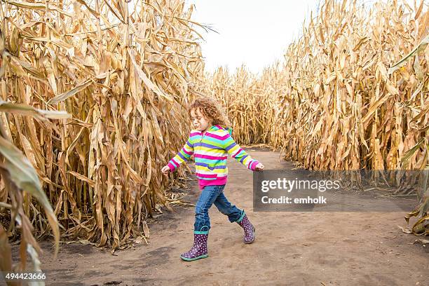 jovem menina andar através de outono milho labirinto - corn maze imagens e fotografias de stock