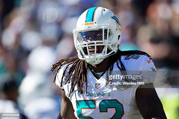 Kelvin Sheppard of the Miami Dolphins smiles while running off the field during a game against the Tennessee Titans at LP Field on October 18, 2015...