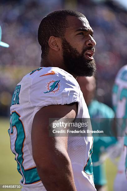 Spencer Paysinger of the Miami Dolphins watches from the sideline during a game against the Tennessee Titans during a game at Nissan Stadium on...