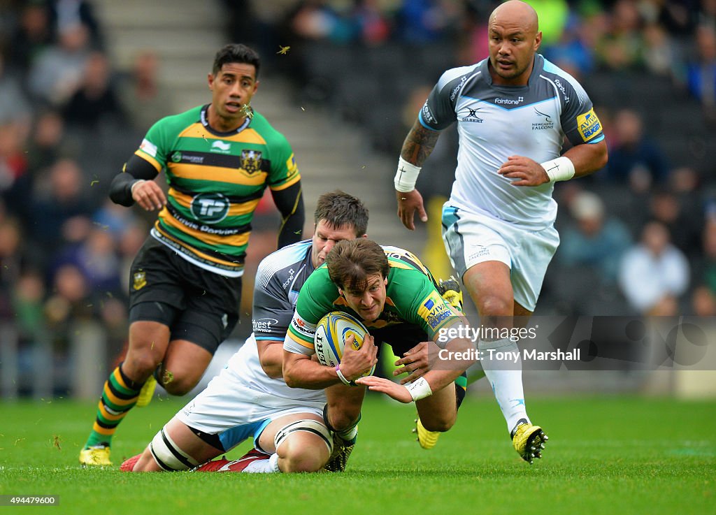 Northampton Saints v Newcastle Falcons - Aviva Premiership
