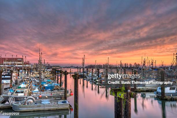 steveston sunset in pink - richmond-colombie-britannique photos et images de collection