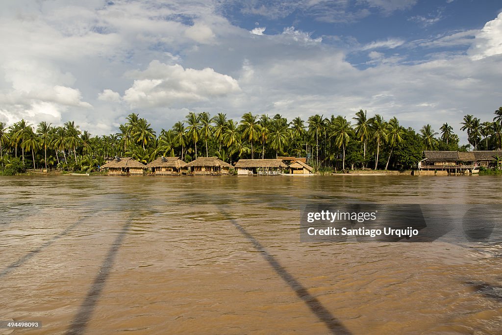 Houses with palm trees along the Mekong River