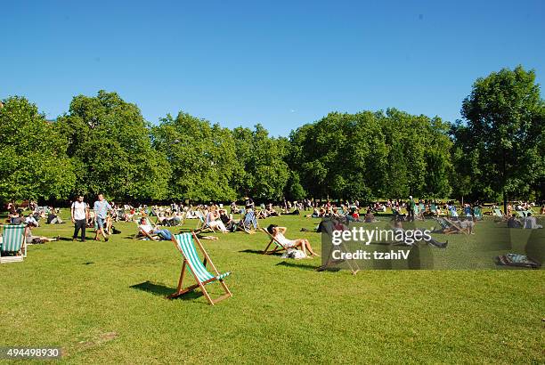 sole a londra hyde park - hyde park westminster foto e immagini stock