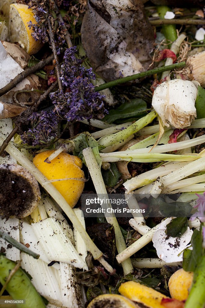 Closeup of composting pile.