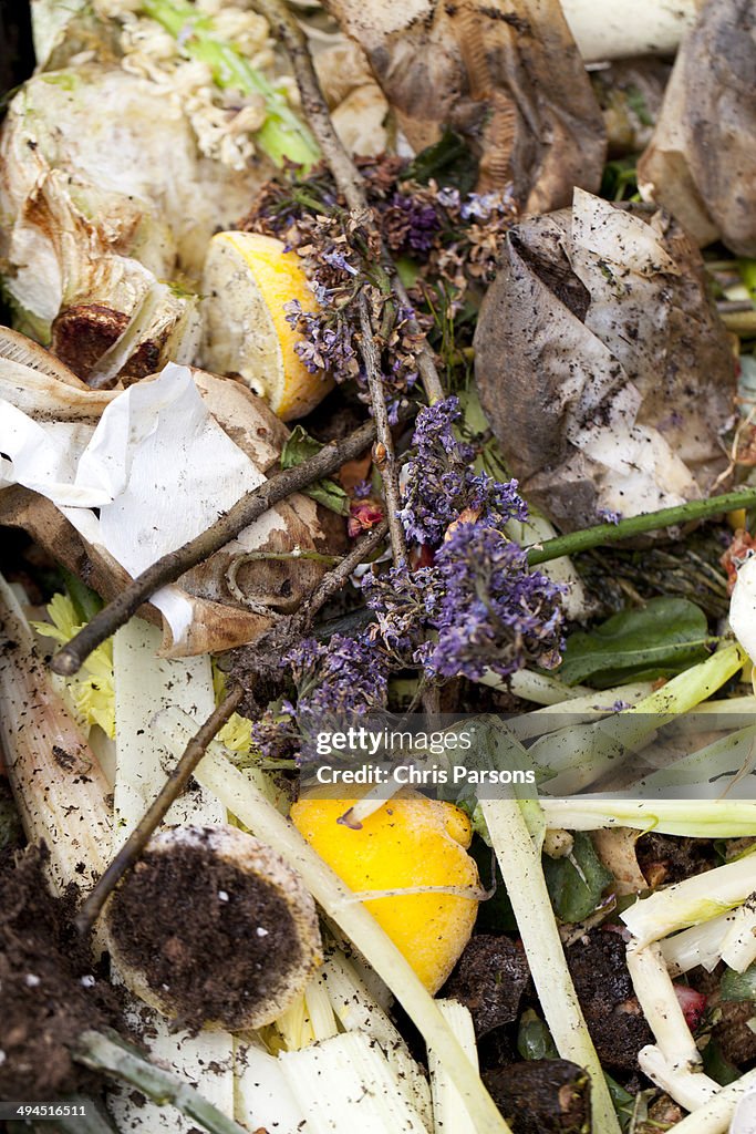 Closeup of composting pile