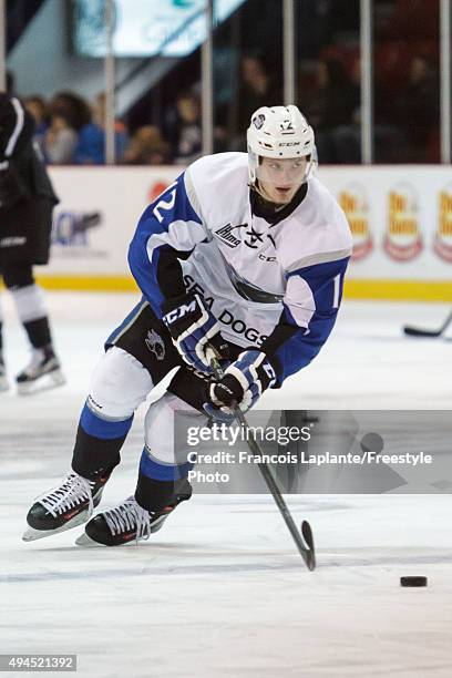 Adam Marsh of the Saint John Sea Dogs skates with the puck during warmup prior to a game against the Gatineau Olympiques on October 18, 2015 at...