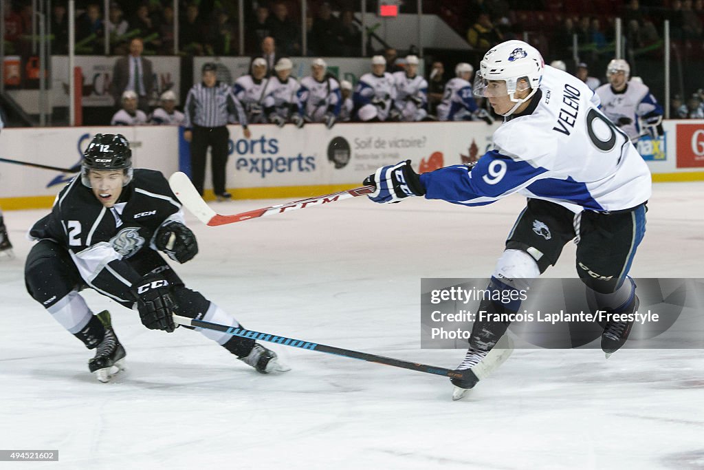 Saint John Sea Dogs v Gatineau Olympiques