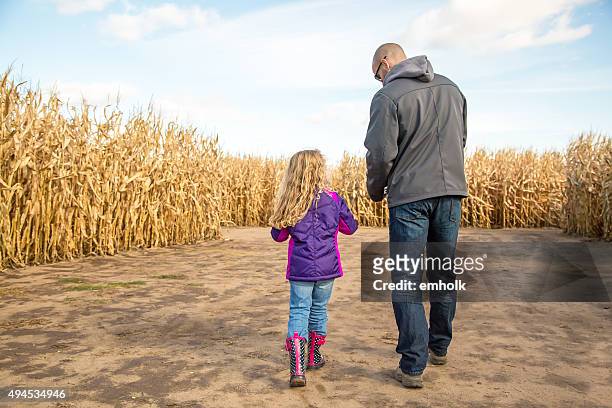 father & daughter walking through autumn corn maze - corn maze stock pictures, royalty-free photos & images