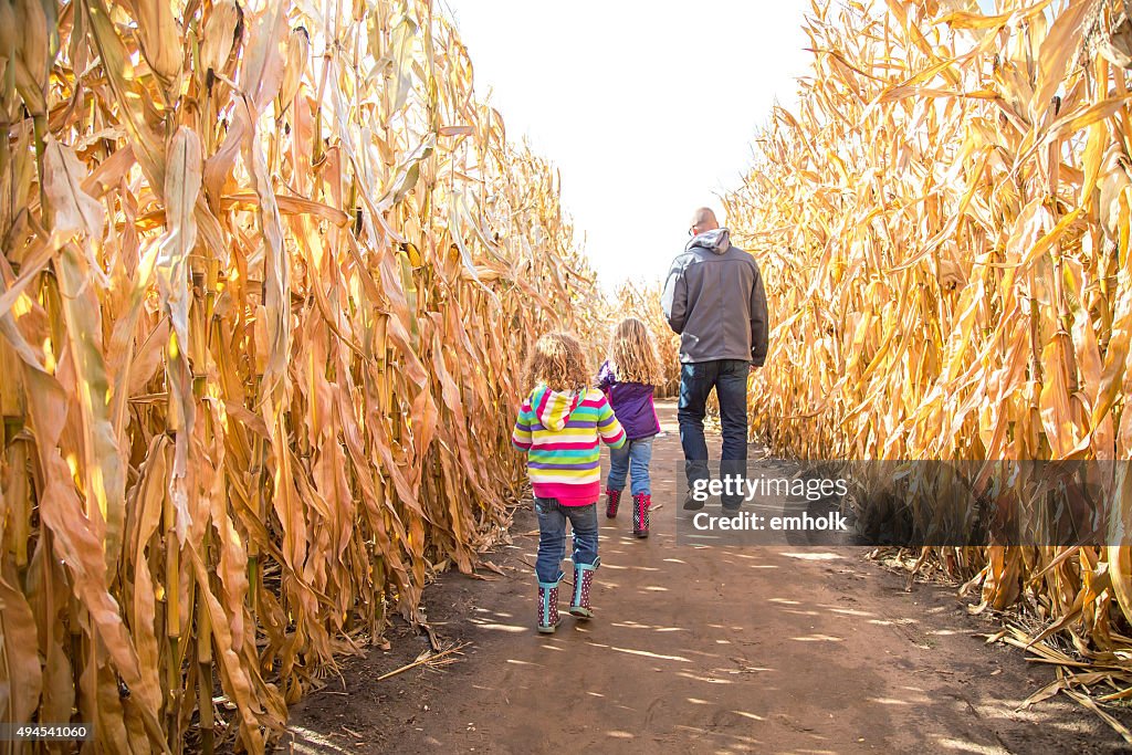 Zwei Mädchen & Vater zu Fuß durch den Herbst Corn Maze