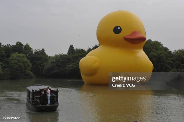 Giant inflatable Rubber Duck designed by Dutch conceptual artist Florentijn Hofman is on display at the Xixi National Wetland Park on May 29, 2014 in...