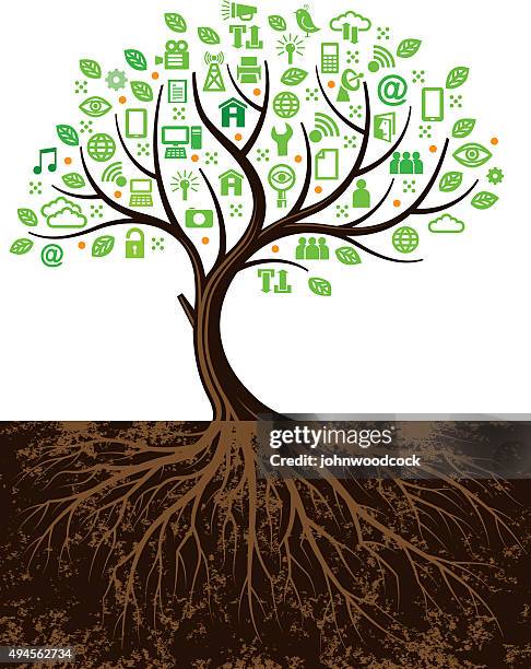 Data Tree Photos and Premium High Res Pictures - Getty Images
