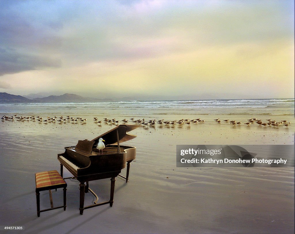 Piano with seagulls on beach
