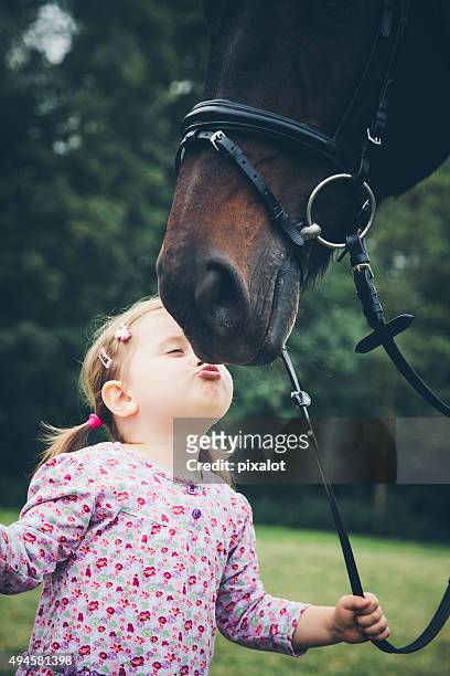 girl kissing her horse - pixalot stock pictures, royalty-free photos & images