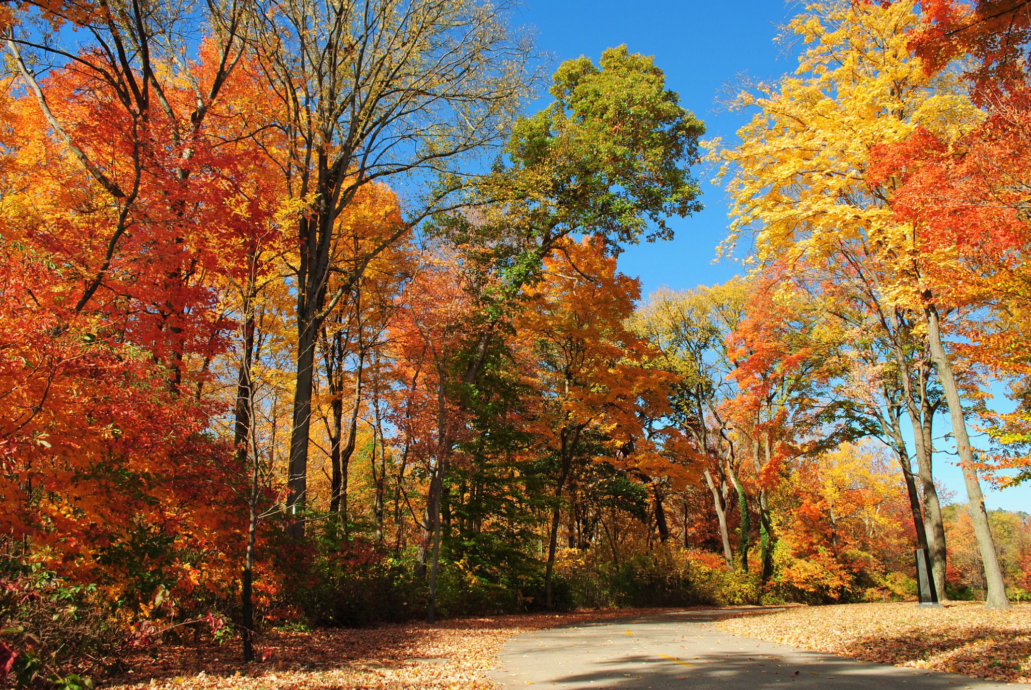 ohio seasonal changes