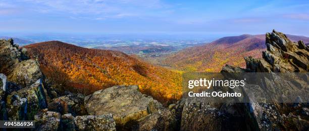 rock outcroppings frame da floresta de outono - vale do rio shenandoah imagens e fotografias de stock