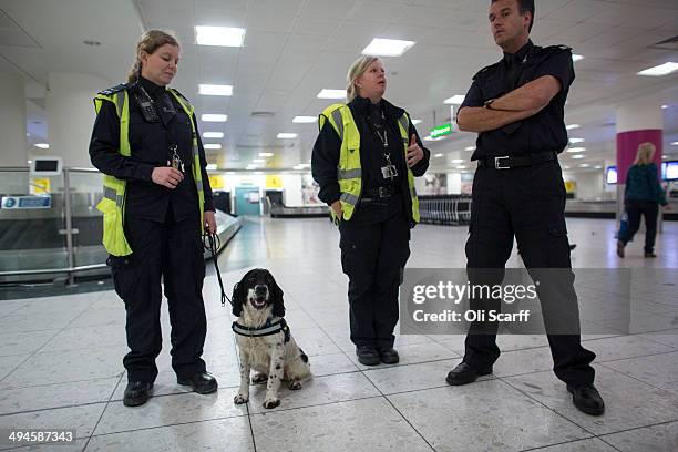 Border Force dog handler Claire Chapman and her detector dog 'Pip' check passengers and luggage arriving at Gatwick Airport for illegal drugs on May...