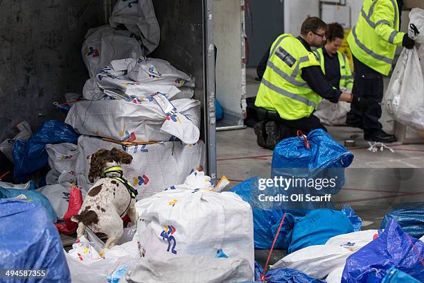 Border Force dog handler Claire Honeyman's detector dog 'Ruby' checks freight arriving at Gatwick Airport for illegal drugs on May 28, 2014 in...