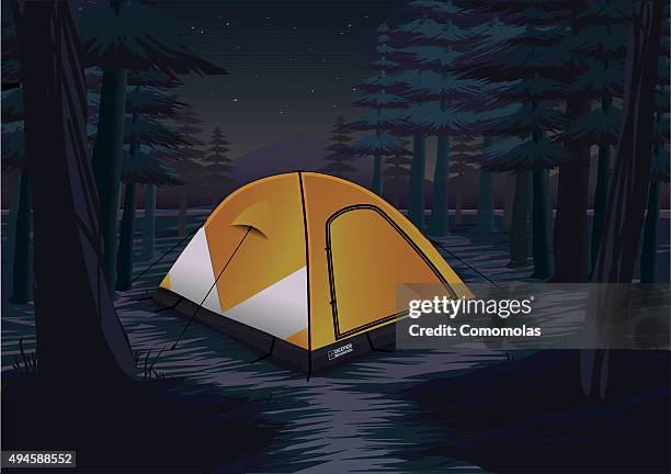 night camp between the trees at the mountains - boy scout stock illustrations