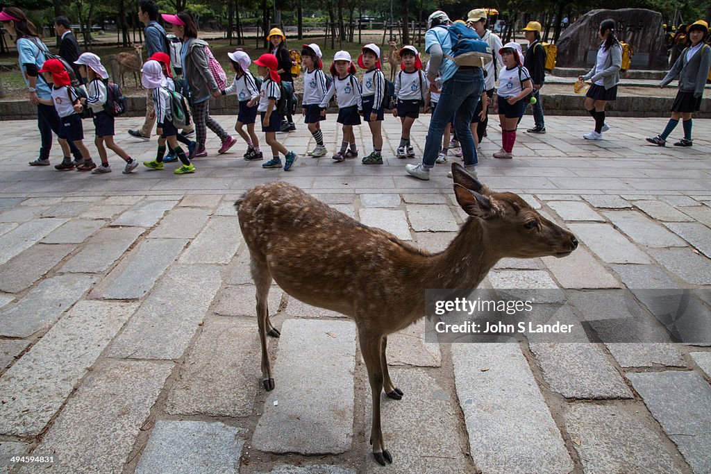 Nara Park or Nara Koen is a large park and the location of...