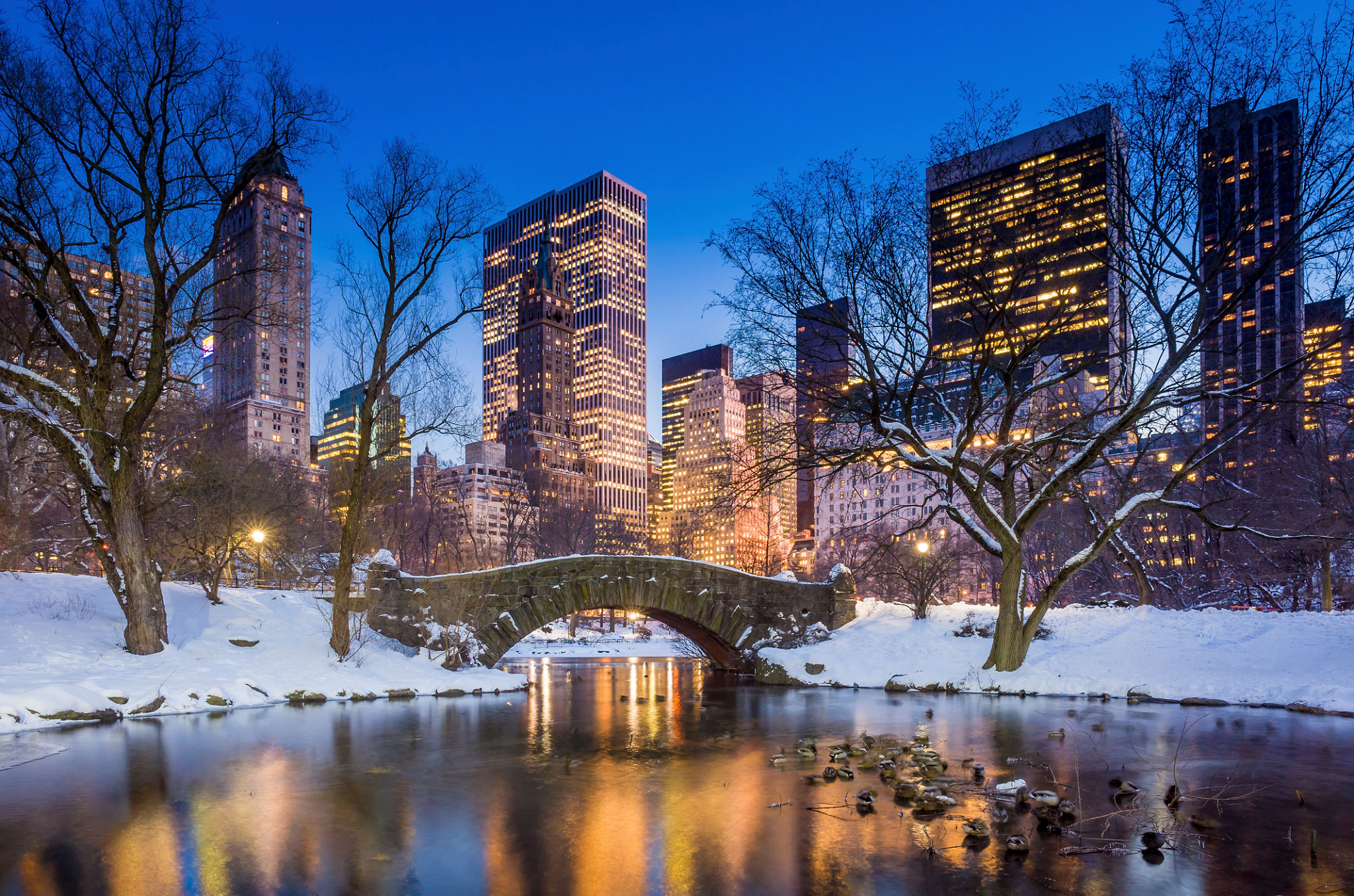new york winter