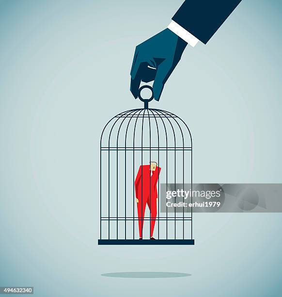 isolated - birdcage stock illustrations