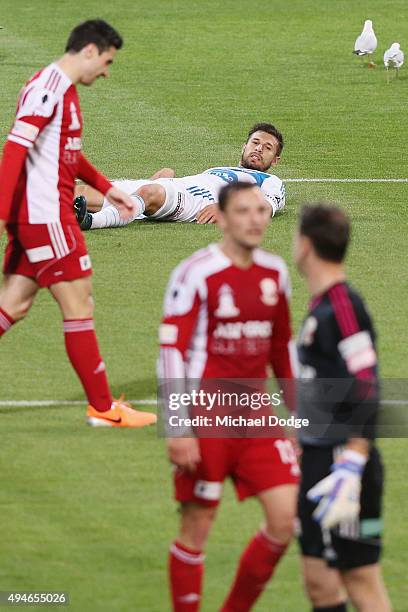 Kosta Barbarouses of the Victory reacts after missing a goal attempt during the FFA Cup Semi Final match between Hume City and Melbourne Victory at...