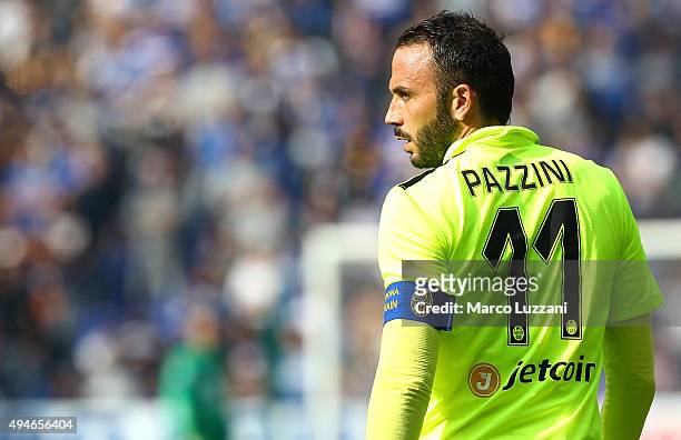 Giampaolo Pazzini of Hellas Verona FC looks on during the Serie A match between UC Sampdoria and Hellas Verona FC at Stadio Luigi Ferraris on October...