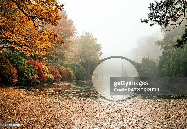 Fog hangs over trees in autumnal colors and the so-called Rakotzbruecke bridge of the Rhododendronpark Kromlau landscaped park in Kromlau, eastern...
