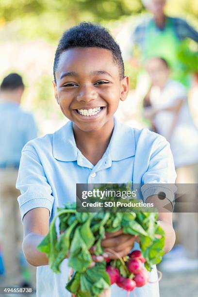 elementary student smiling, holding vegetables in school garden - african american farmer stockfoto's en -beelden