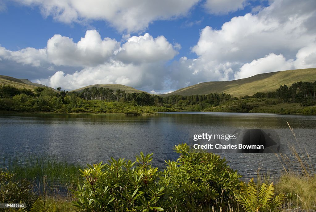 Summertime Neuadd reservoir in the Brecon Beacons