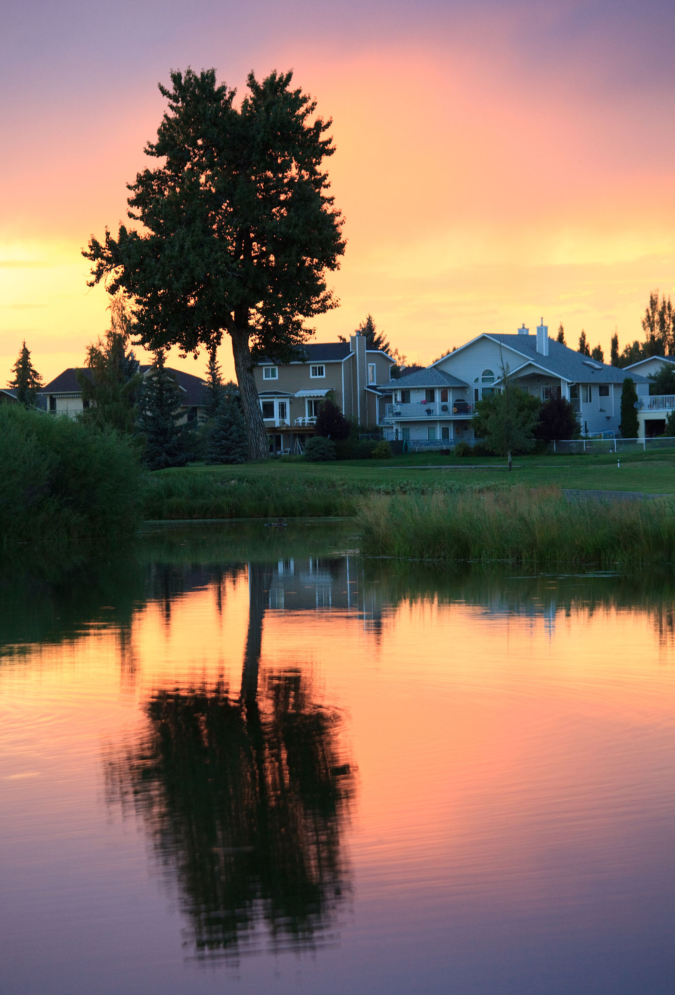 calgary neighborhood