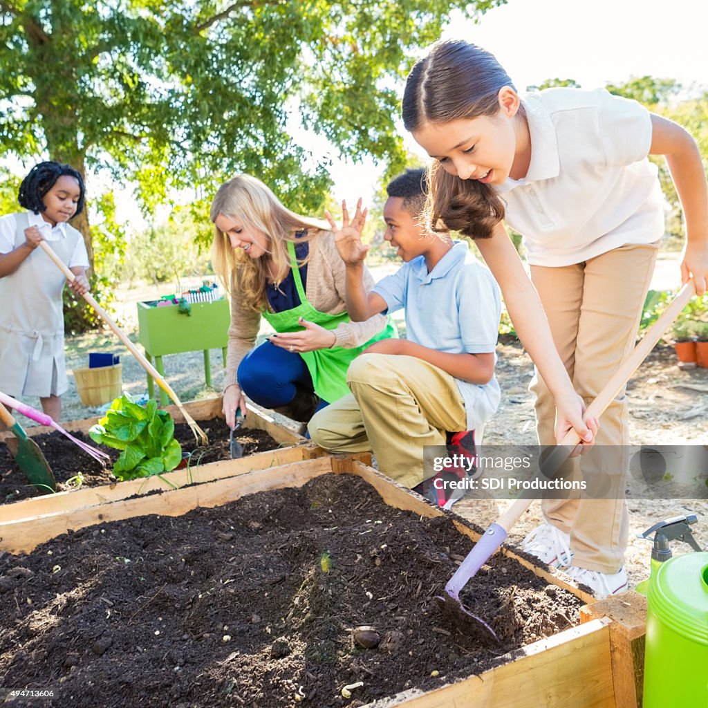 Kleines Mädchen in der Schule im Garten Pflanzen vegtables in science-Klasse