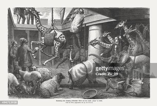unloading of african animals from a ship, published in 1874 - 被囚禁動物 幅插畫檔、美工圖案、卡通及圖標
