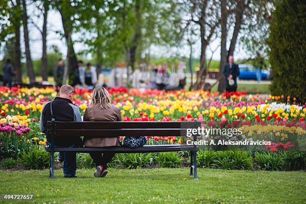 people watching to tulip field - freshgrass festival photos et images de collection