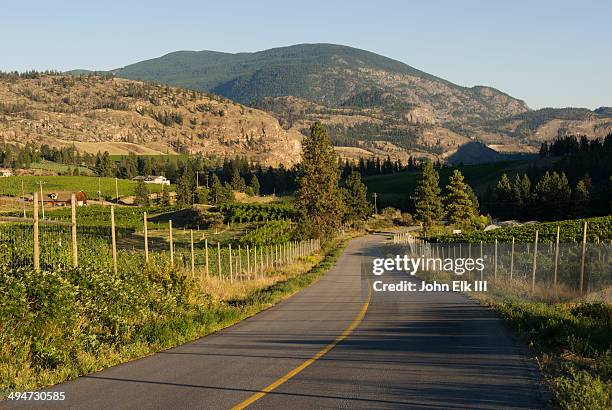 wine country vineyard landscape - okanagan vineyard stock pictures, royalty-free photos & images